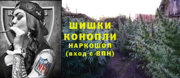 молекула духа Магас
