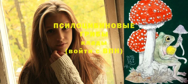 молекула духа Магас