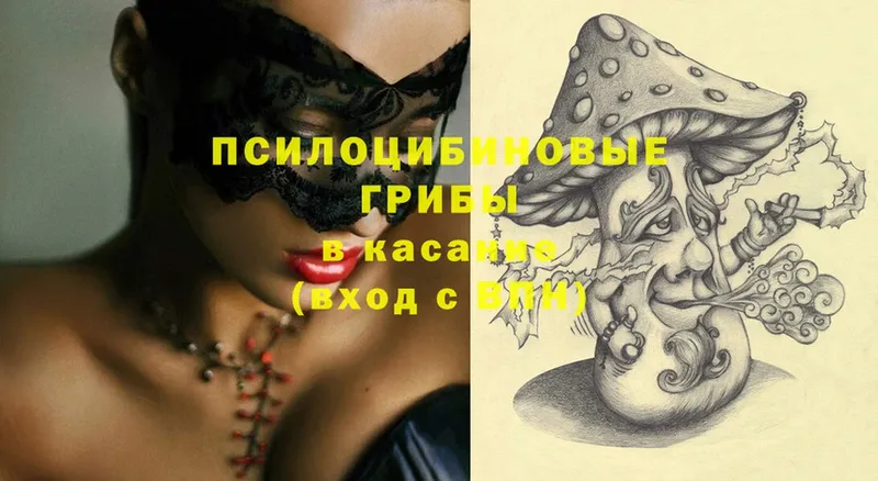 Псилоцибиновые грибы Psilocybe  Александровск 