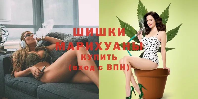 где купить наркотик  MEGA как зайти  Канабис SATIVA & INDICA  Александровск 