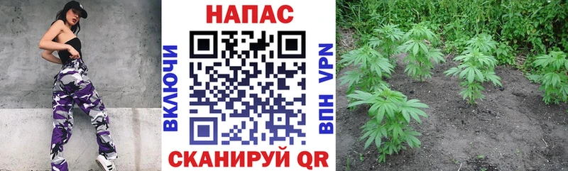hydra вход  Александровск  Шишки марихуана марихуана 
